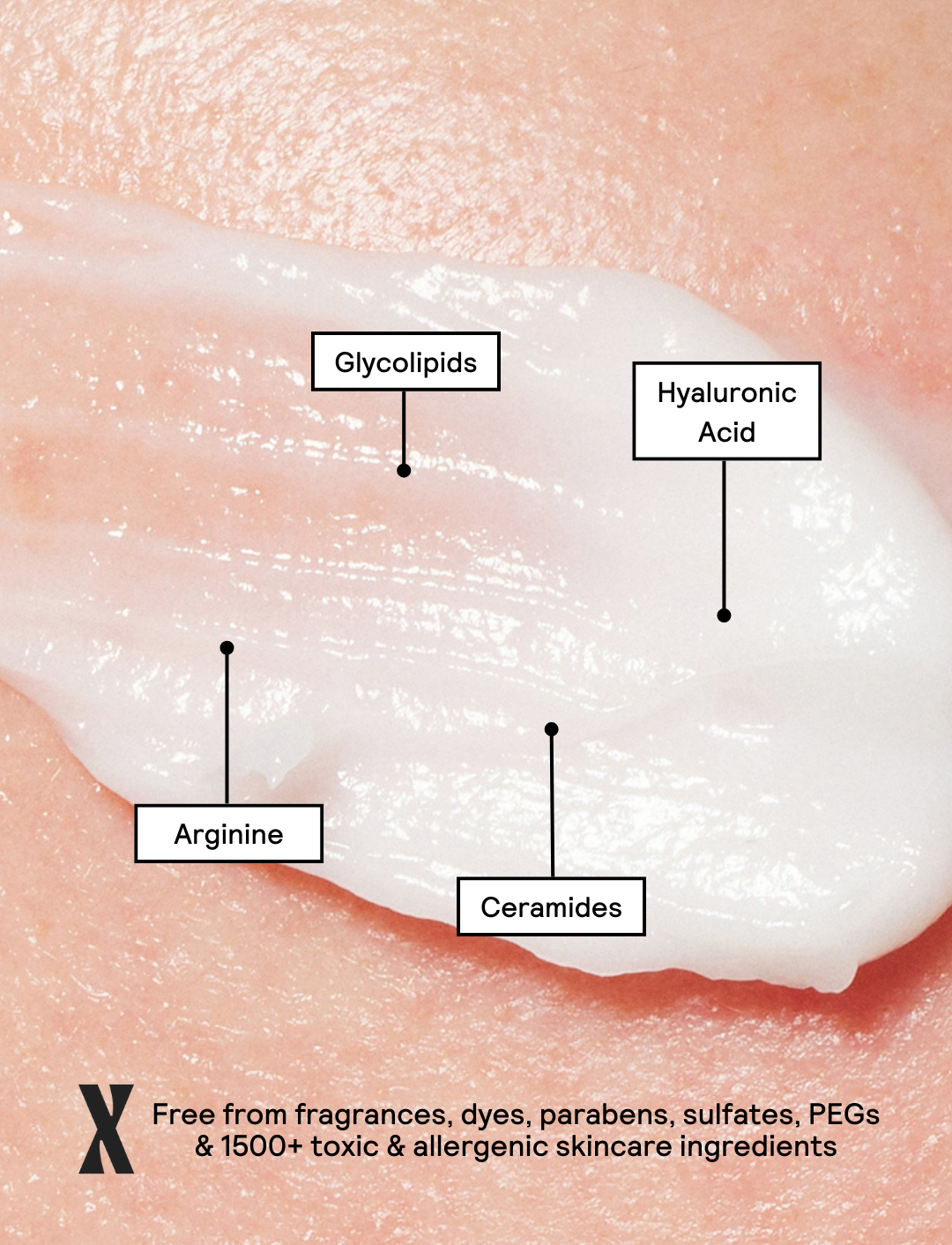 Image of Moisture Boost Face & Body Cream