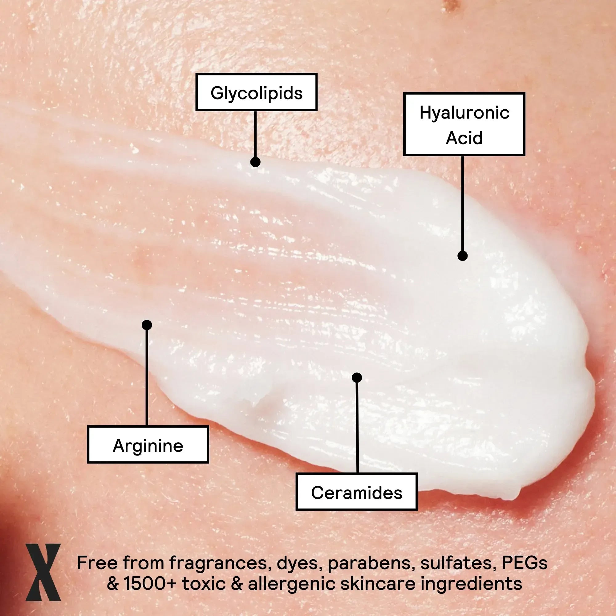 Image of Moisture Boost Face & Body Cream